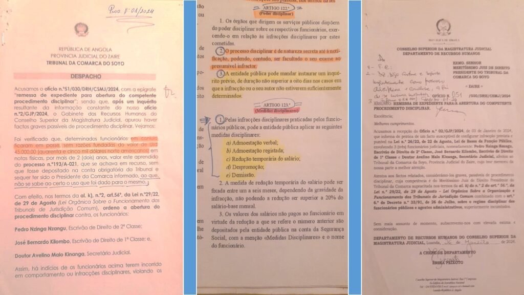 PROCEDIMENTO DISCPLINAR E ARTIGO