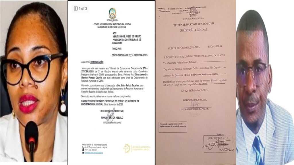 EXONERAÇÃO DA ERIKA